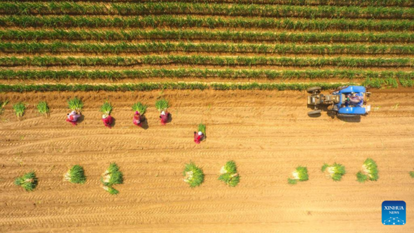 Spring Farming Across China