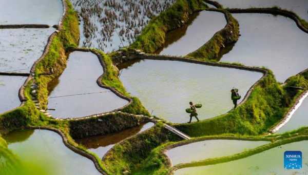 Spring Farming Across China