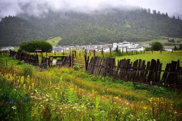 Sound Ecology Brings Better Life to People in Nyingchi, Tibet