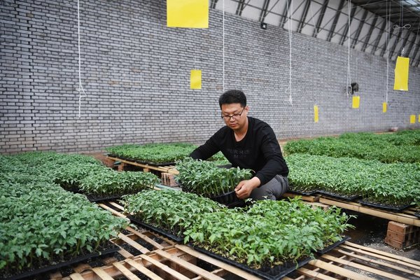 Young Chinese a New Force in Rural Revitalization