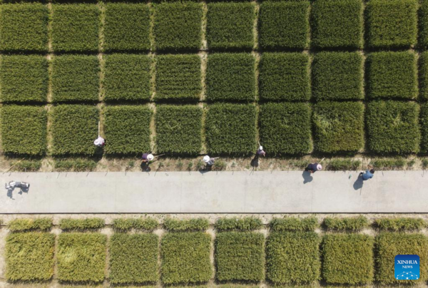 Lixia Marked Across China