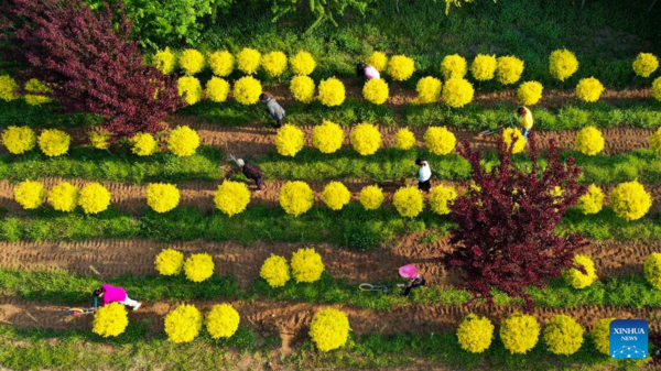 Lixia Marked Across China