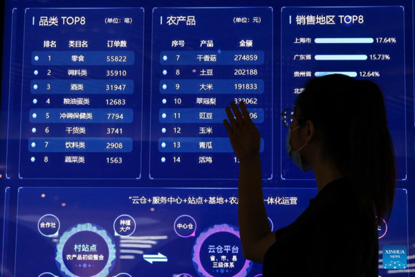 China Int'l Big Data Industry Expo 2022 Opens Online in Guizhou