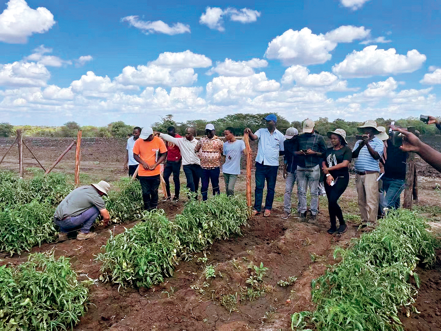 Working on Farms in Africa Full of Challenges, Pleasure