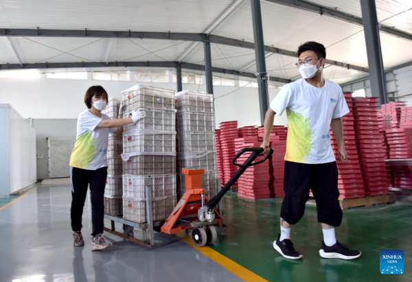 E-commerce Helps to Promote Local Agricultural Products in Weixian, Hebei