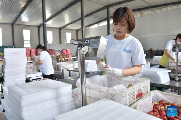 E-commerce Helps to Promote Local Agricultural Products in Weixian, Hebei