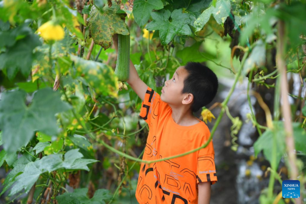 Children Experience Agrarian Culture in Central China's Hunan