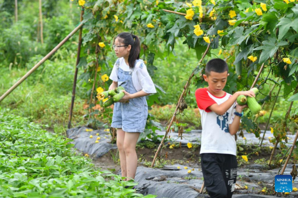 Children Experience Agrarian Culture in Central China's Hunan