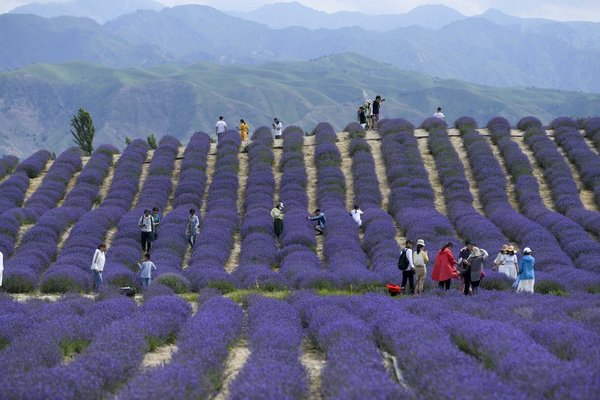 Xinhua Headlines: Tourism Resurgence Tells of a Flourishing, Stable, Open Xinjiang