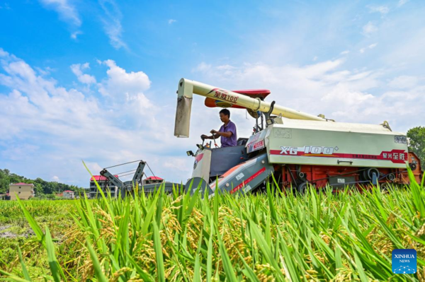 Farmers Busy with Summer Farming Across China