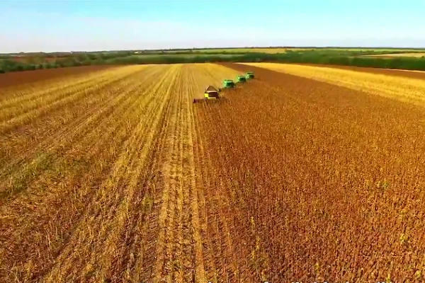 Protecting Black Soil for Chinese People's 'Rice Bowl' | Stories Shared by Xi Jinping