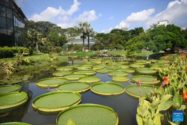 China Inaugurates Second National Botanical Garden