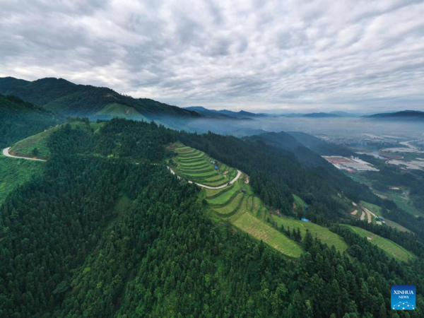 Watermelon Sales Boost Villagers' Income in Rongjiang County, Guizhou