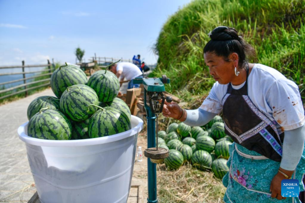 Watermelon Sales Boost Villagers' Income in Rongjiang County, Guizhou