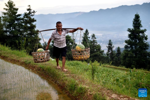 Watermelon Sales Boost Villagers' Income in Rongjiang County, Guizhou