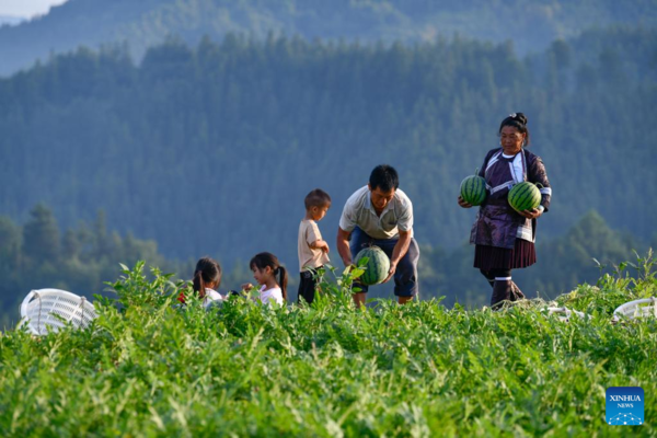 Watermelon Sales Boost Villagers' Income in Rongjiang County, Guizhou