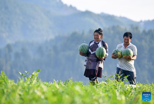 Watermelon Sales Boost Villagers' Income in Rongjiang County, Guizhou