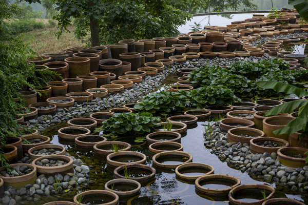 Pottery Brings Vigor to Henan Village