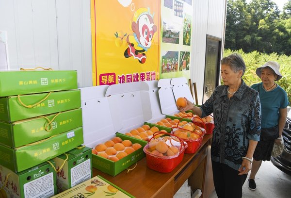 Fruit Planting Helps Improve Environment and Villagers' Income in SW China's Chongqing