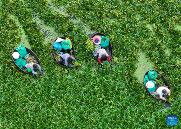 Autumn Harvest in Full Swing Across China