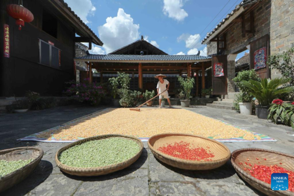 Autumn Harvest in Full Swing Across China