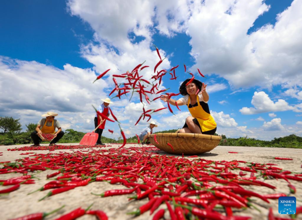 Autumn Harvest in Full Swing Across China