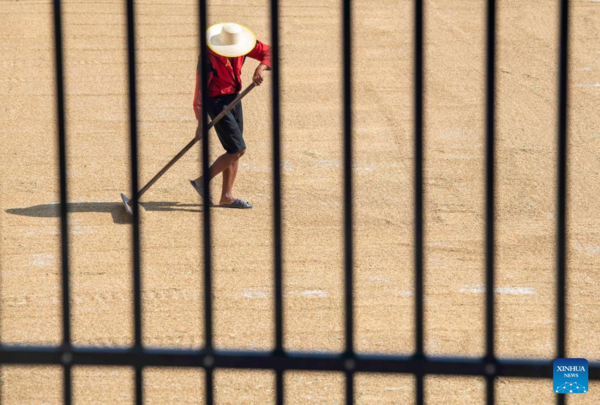 Autumn Farming in China