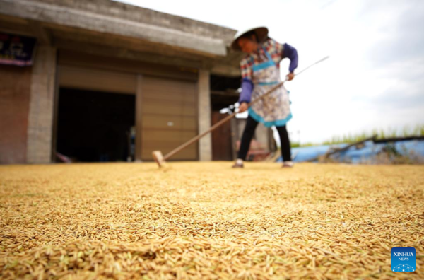 Autumn Farming in China