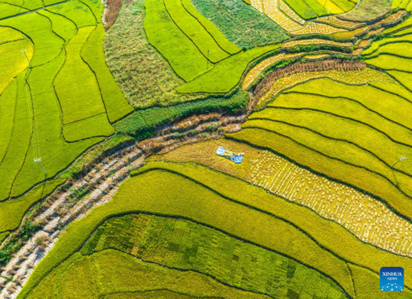 Autumn Farming in China