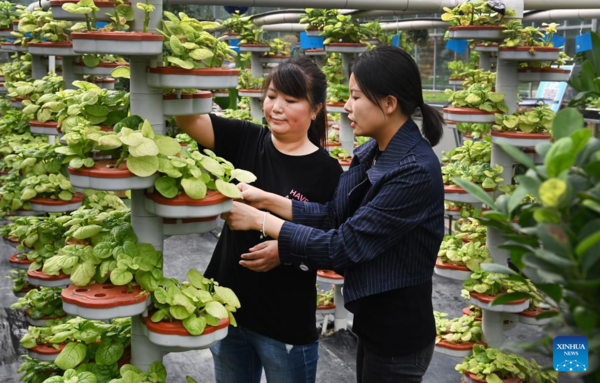 County in China's Shaanxi Transforms Ecological Resources to Green Economy