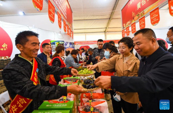 People Celebrate Upcoming Chinese Farmers' Harvest Festival in China's Inner Mongolia