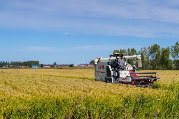 Update: Xi Extends Greetings Ahead of Farmers' Harvest Festival