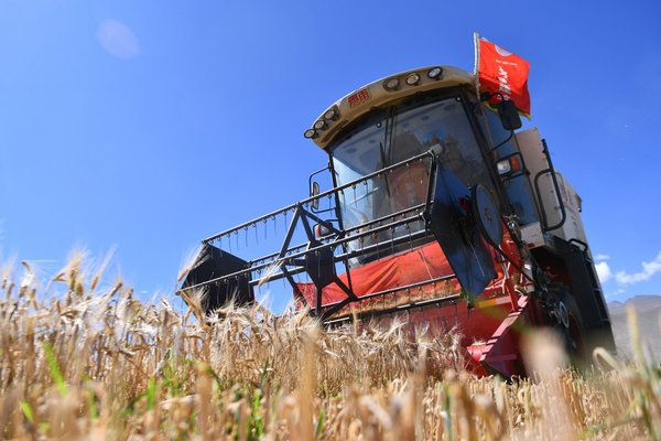 Tibet's Rural Residents Enjoy Improved Livelihood over Past Decade