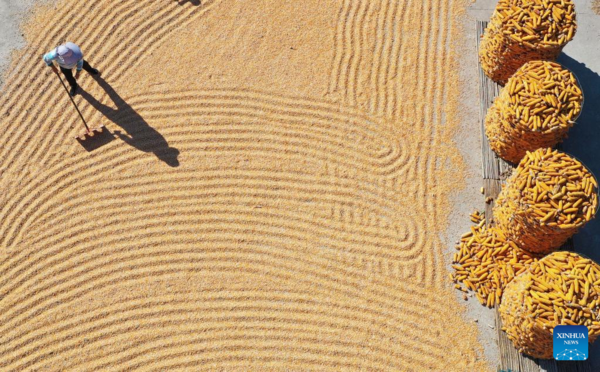 View of Harvest Across China