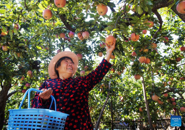 View of Harvest Across China