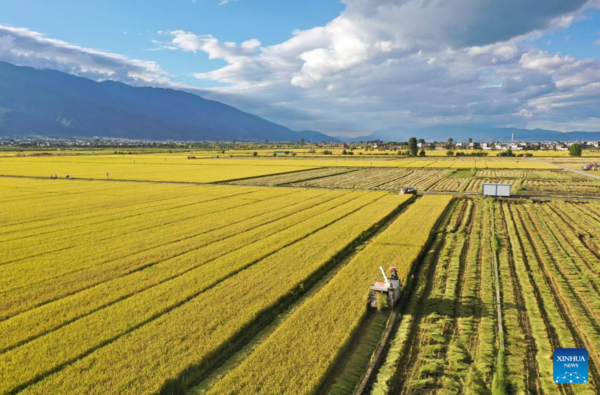 View of Harvest Across China