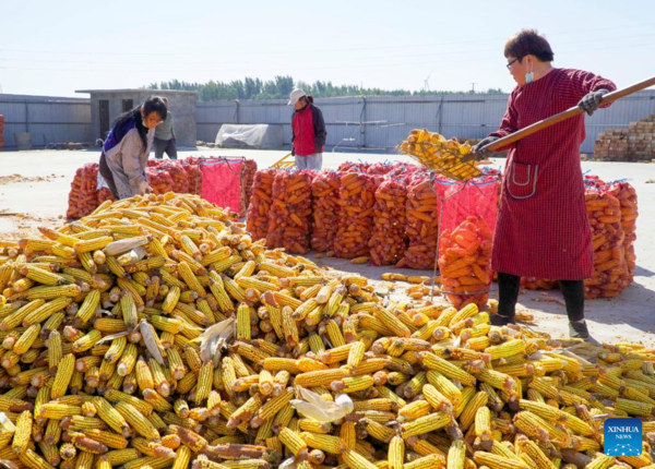 View of Harvest Across China