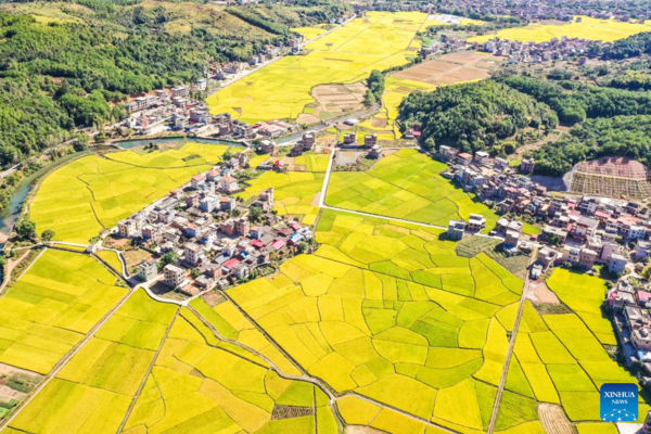 View of Harvest Across China