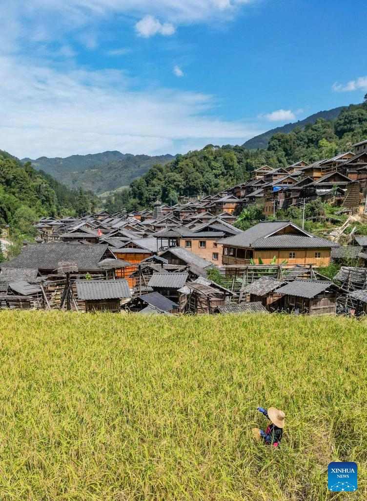 View of Harvest Across China