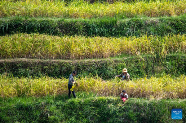 View of Harvest Across China