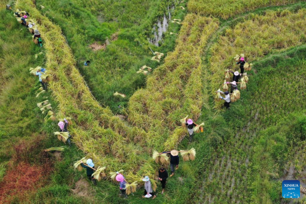 View of Harvest Across China