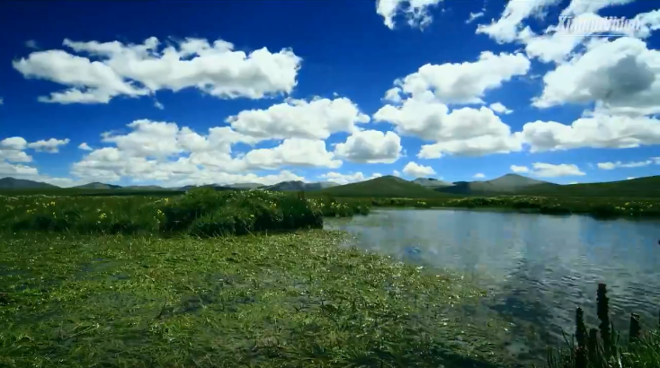 Safeguarding China's 'Water Tower' | Stories Shared by Xi Jinping