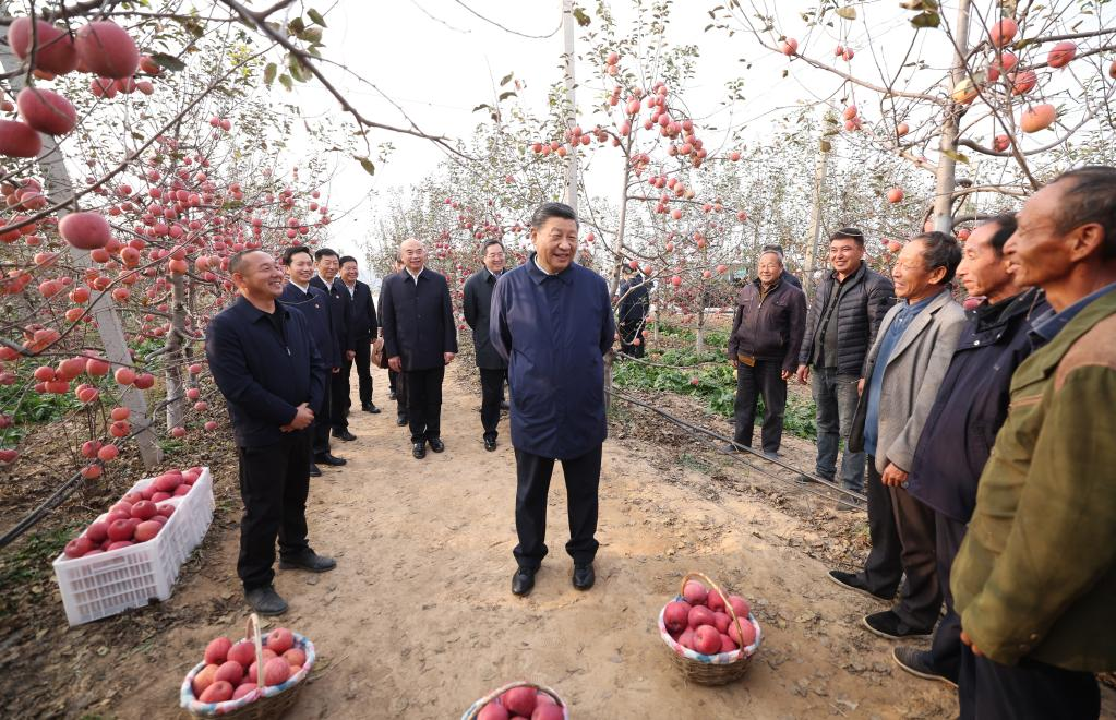 Xi Stresses Rural Revitalization in Inspections to Shaanxi, Henan