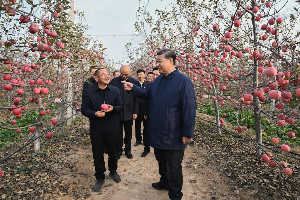 Xi Stresses Rural Revitalization in Inspections to Shaanxi, Henan