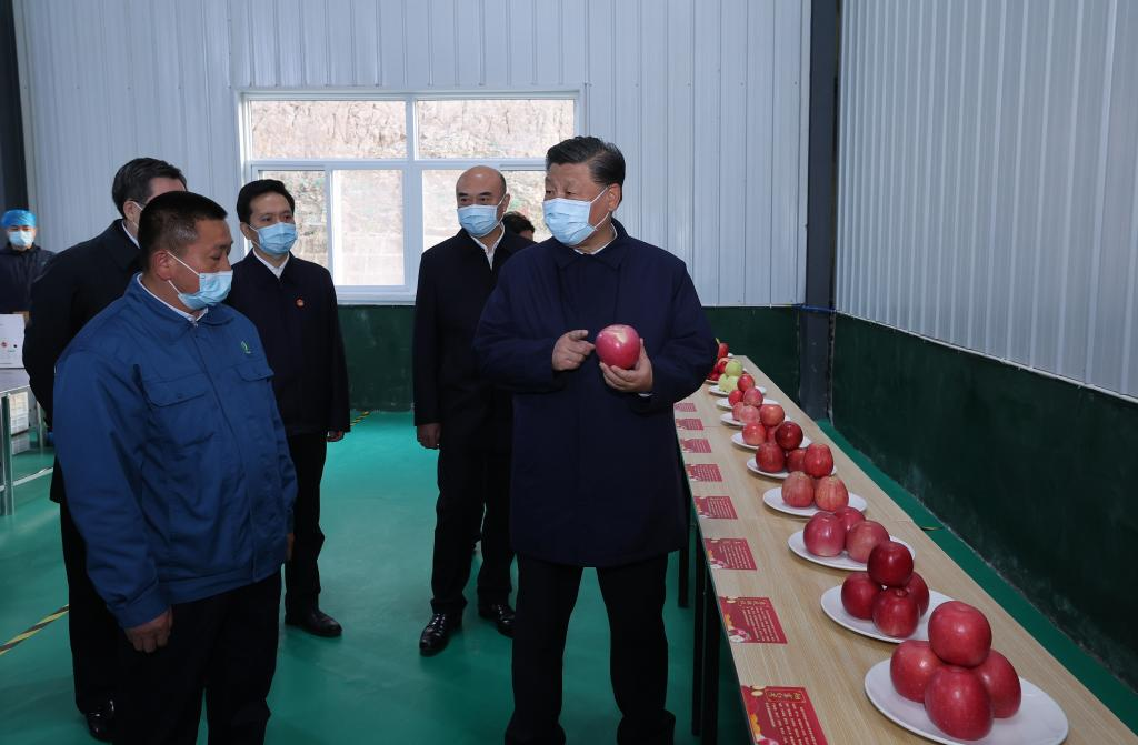 Xi Stresses Rural Revitalization in Inspections to Shaanxi, Henan