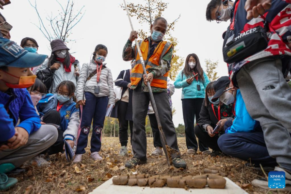 Families Attend Archaeological Tour During Beijing Public Archaeology Season