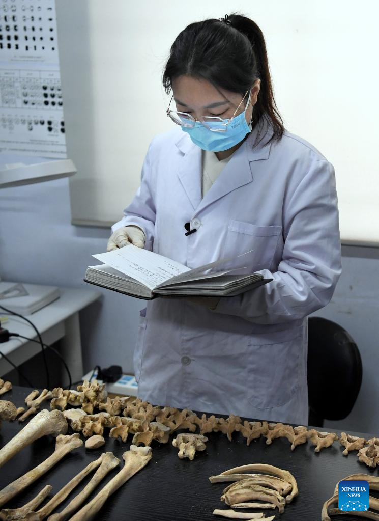 Pic Story of Post-90s Archaeologist in Central China