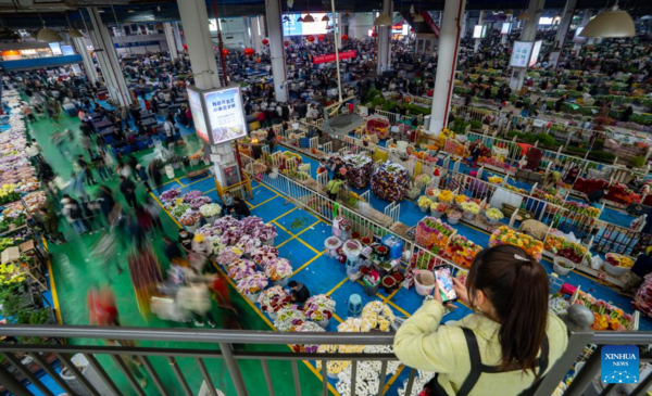 Pic Story of Flower-Selling Live Streamer in China's Yunnan