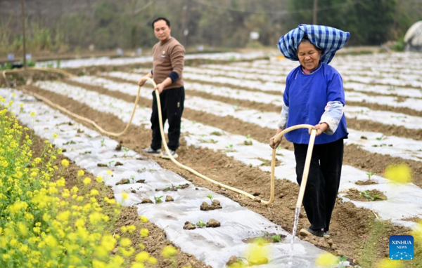 Arrival of Yushui Sees Wave of Spring Farming Activities Across China