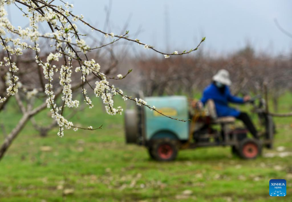 Arrival of Yushui Sees Wave of Spring Farming Activities Across China